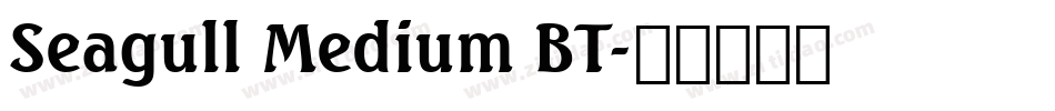 Seagull Medium BT字体转换